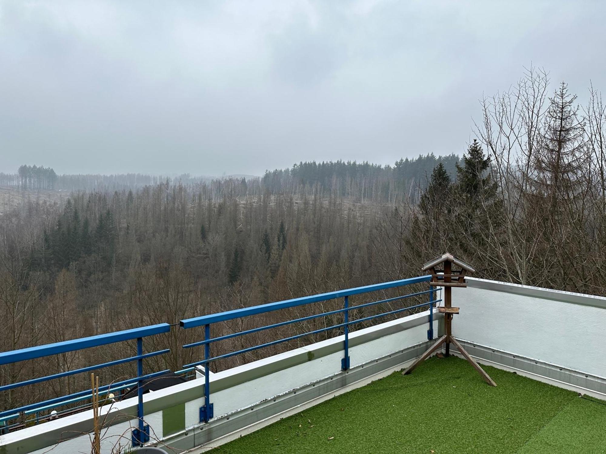 Ferienwohnung Harz #4, Pool, Sauna, Wlan ブラウンラーゲ エクステリア 写真
